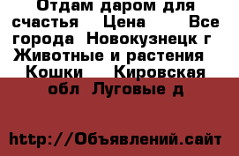 Отдам даром для счастья. › Цена ­ 1 - Все города, Новокузнецк г. Животные и растения » Кошки   . Кировская обл.,Луговые д.